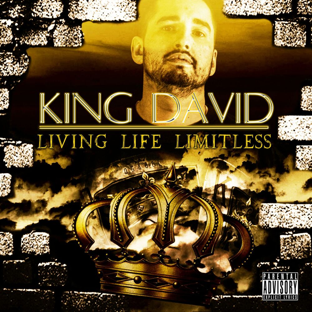 Picture of Living Life Limitless