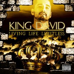 Cover of Living Life Limitless