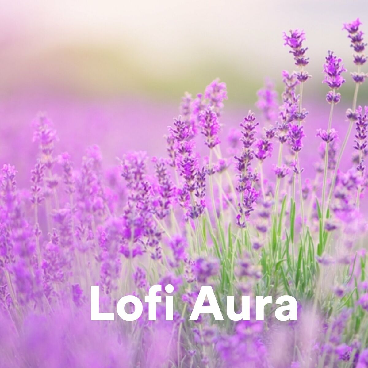 Album cover of Lofi Aura