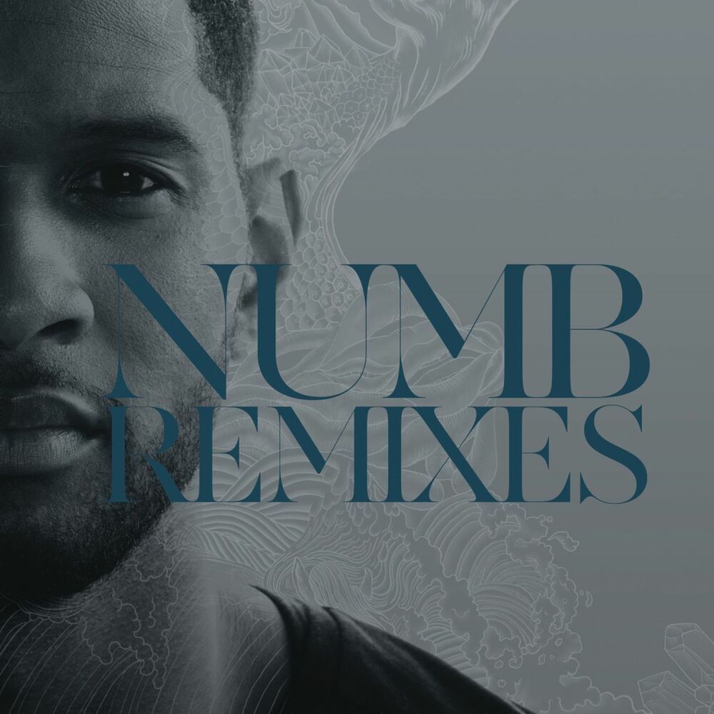 Picture of Numb Remixes