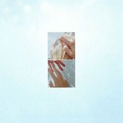 Cover of Flood Into