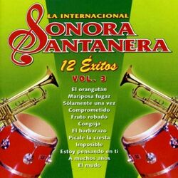 Cover of 12 Exitos la Internacional Sonora Santanera Vol. 3