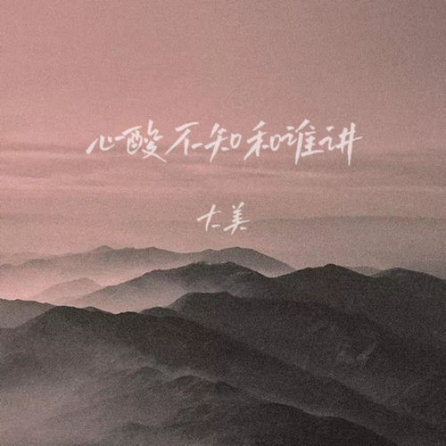 心酸不知和谁讲