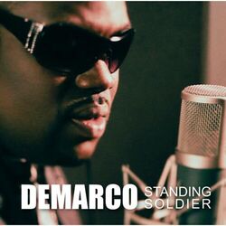 Cover of STANDING SOLDIER