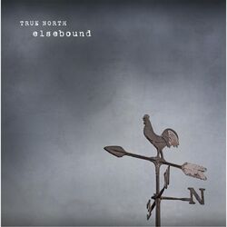 Cover of Elsebound