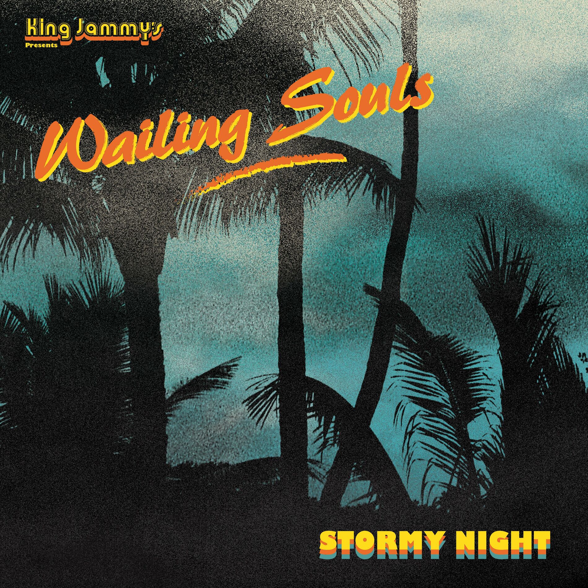 Album cover of Stormy Night