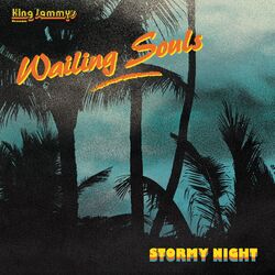 Cover of Stormy Night