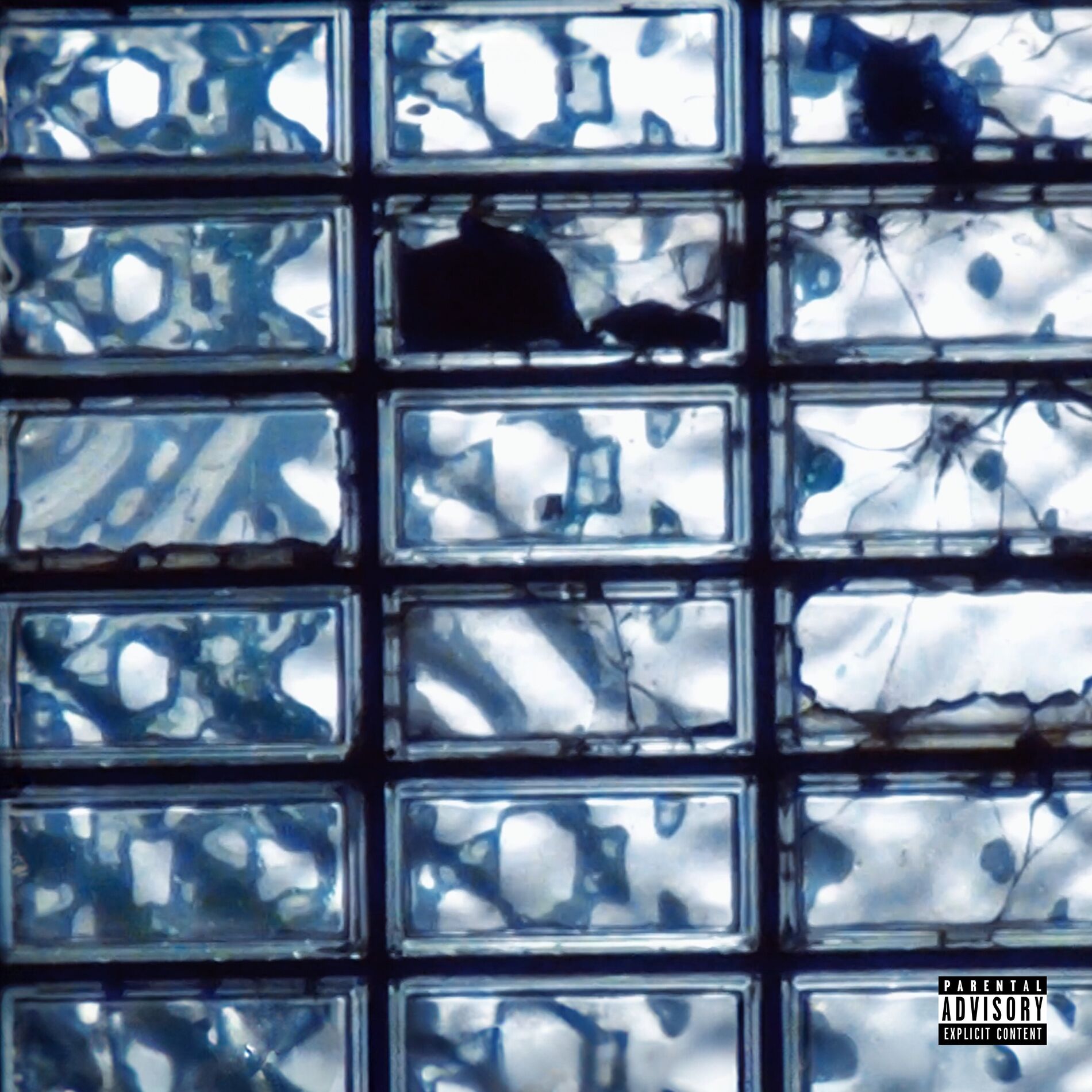 Album cover of WISH I AINT