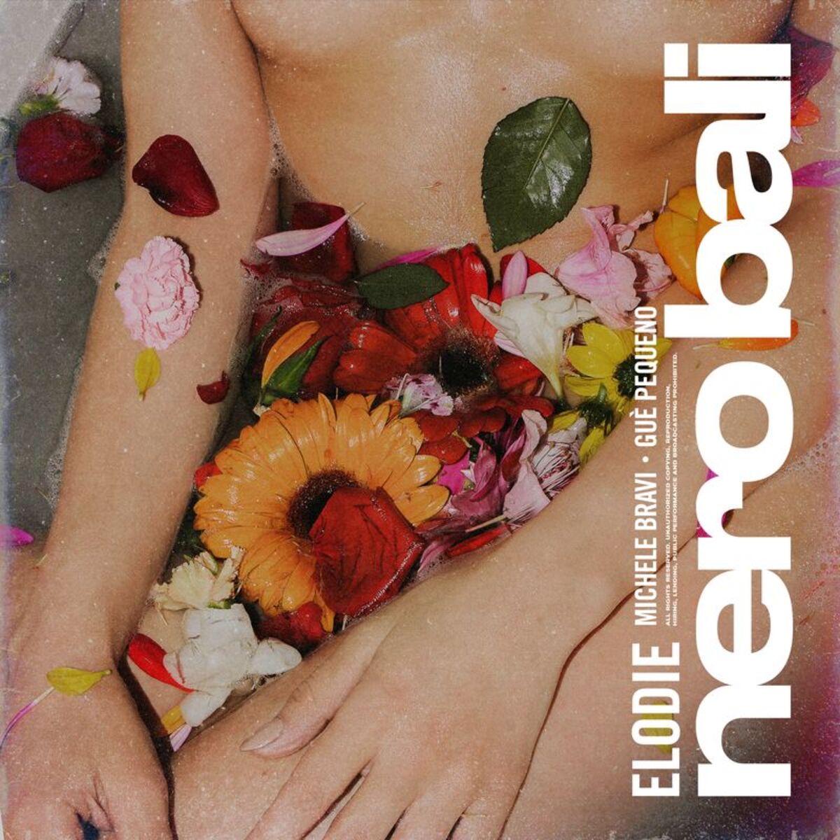 Album cover of Nero Bali