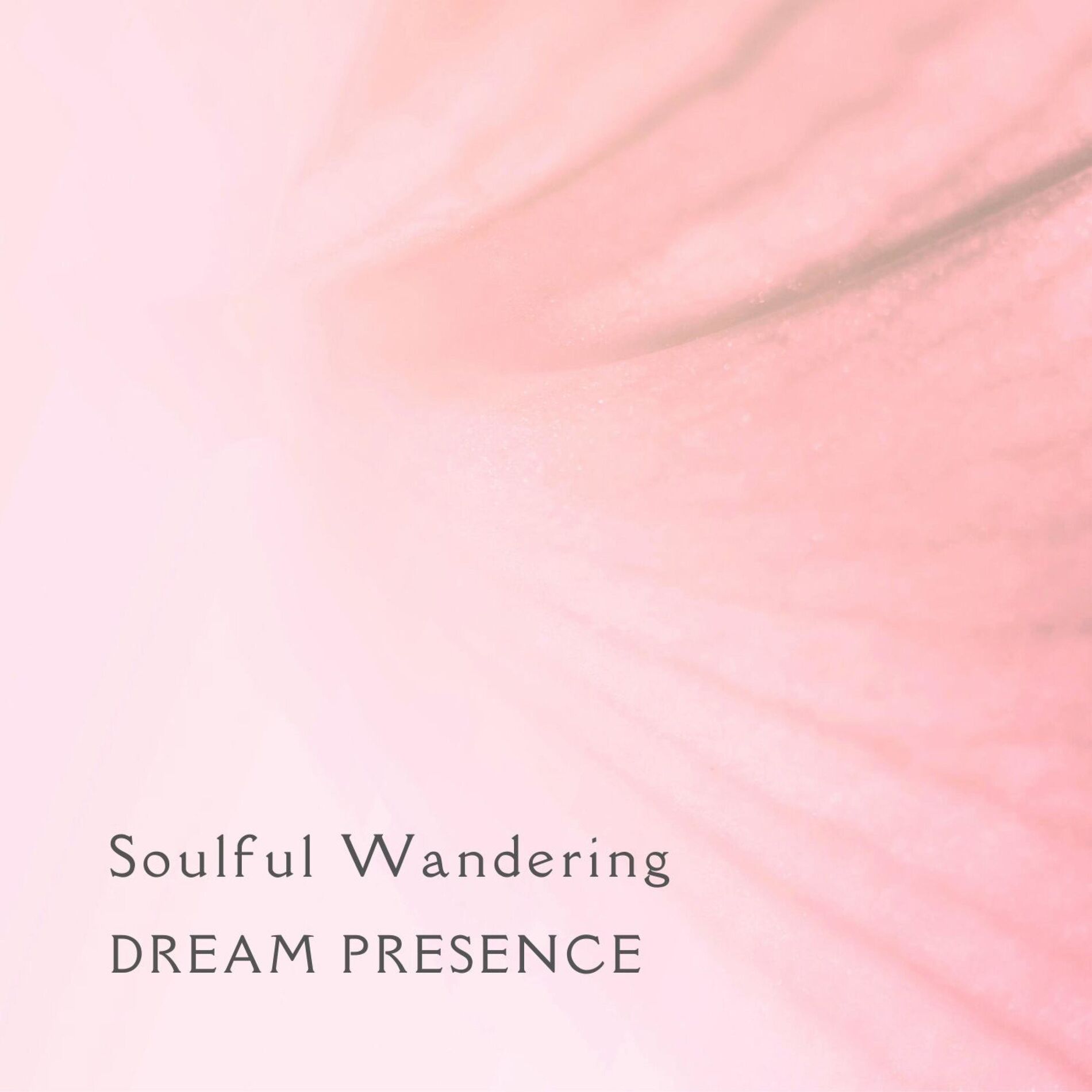 Album cover of Soulful Wandering