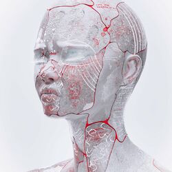music cover