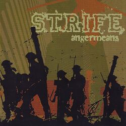 Cover of Angermeans