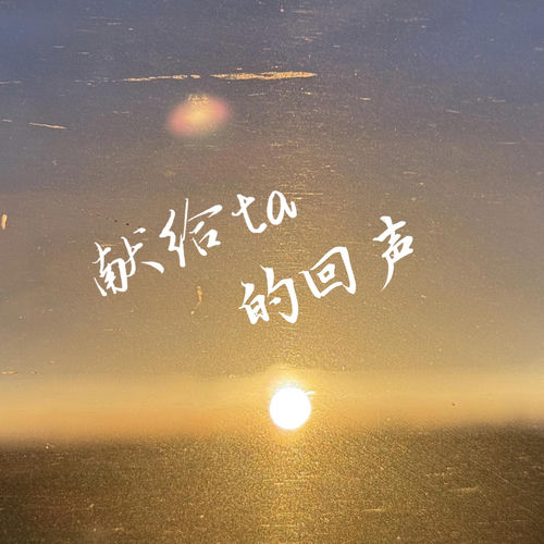 献给Ta的回声