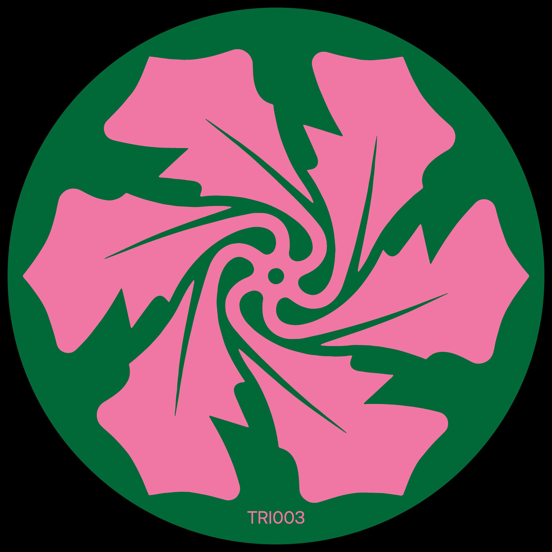 Album cover of Echoing