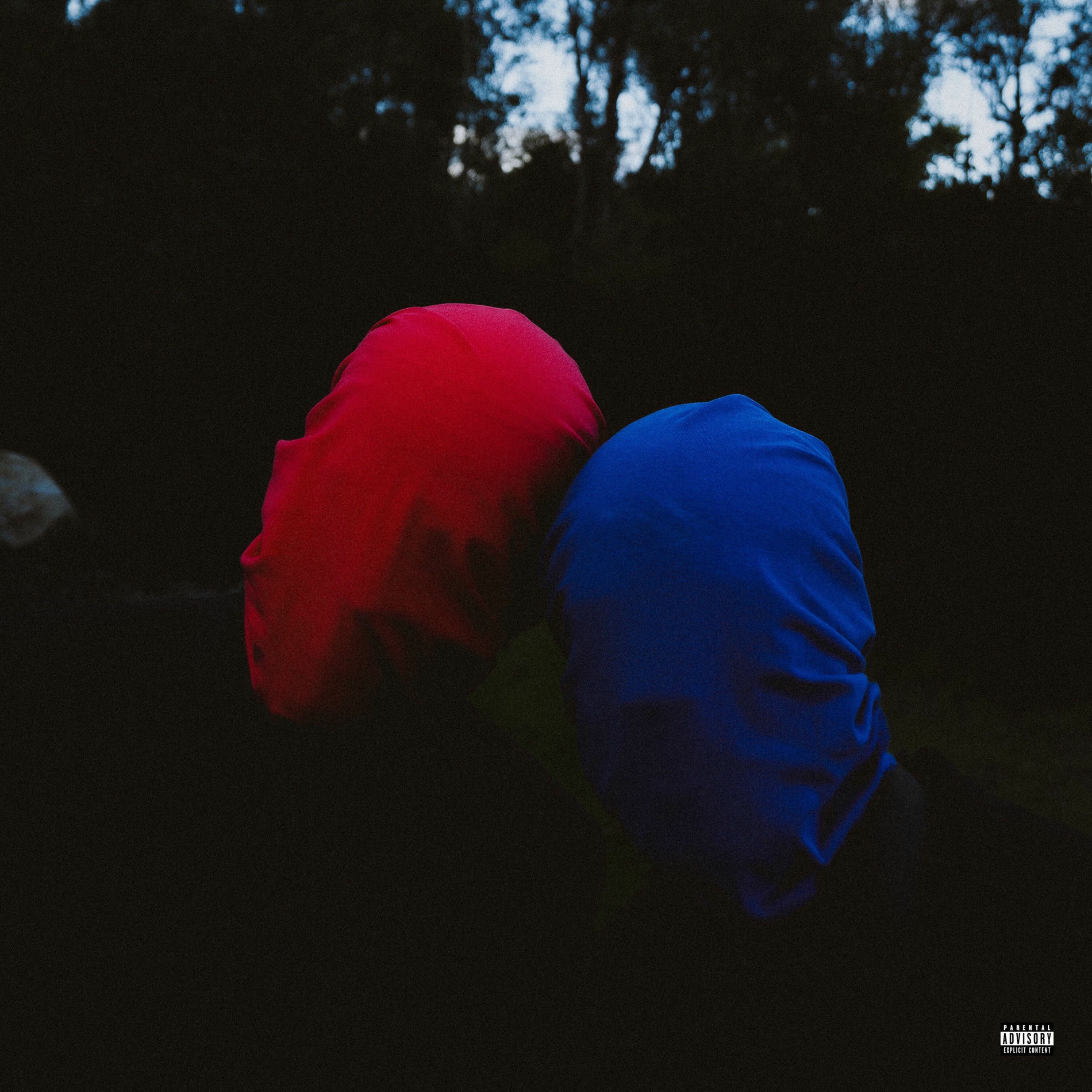 Album cover of All I See Is Red and Blue.
