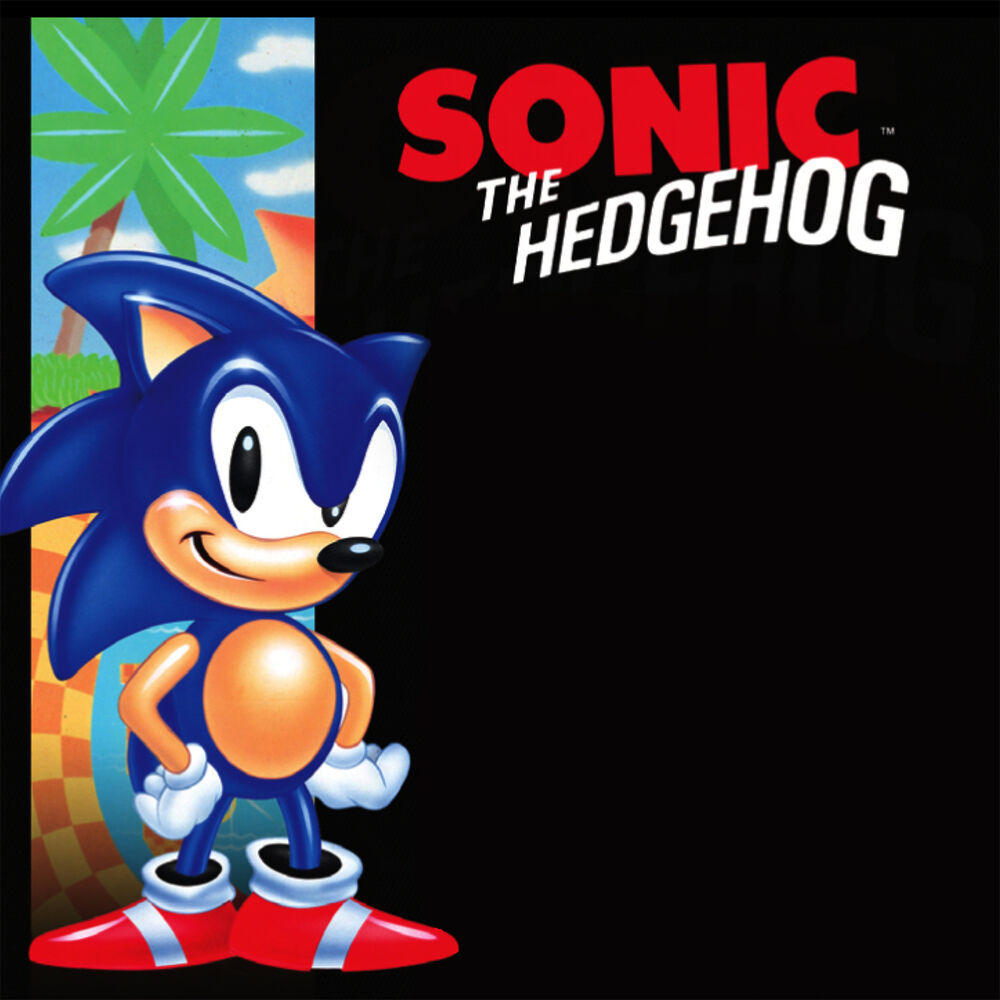 Picture of Sonic the Hedgehog™