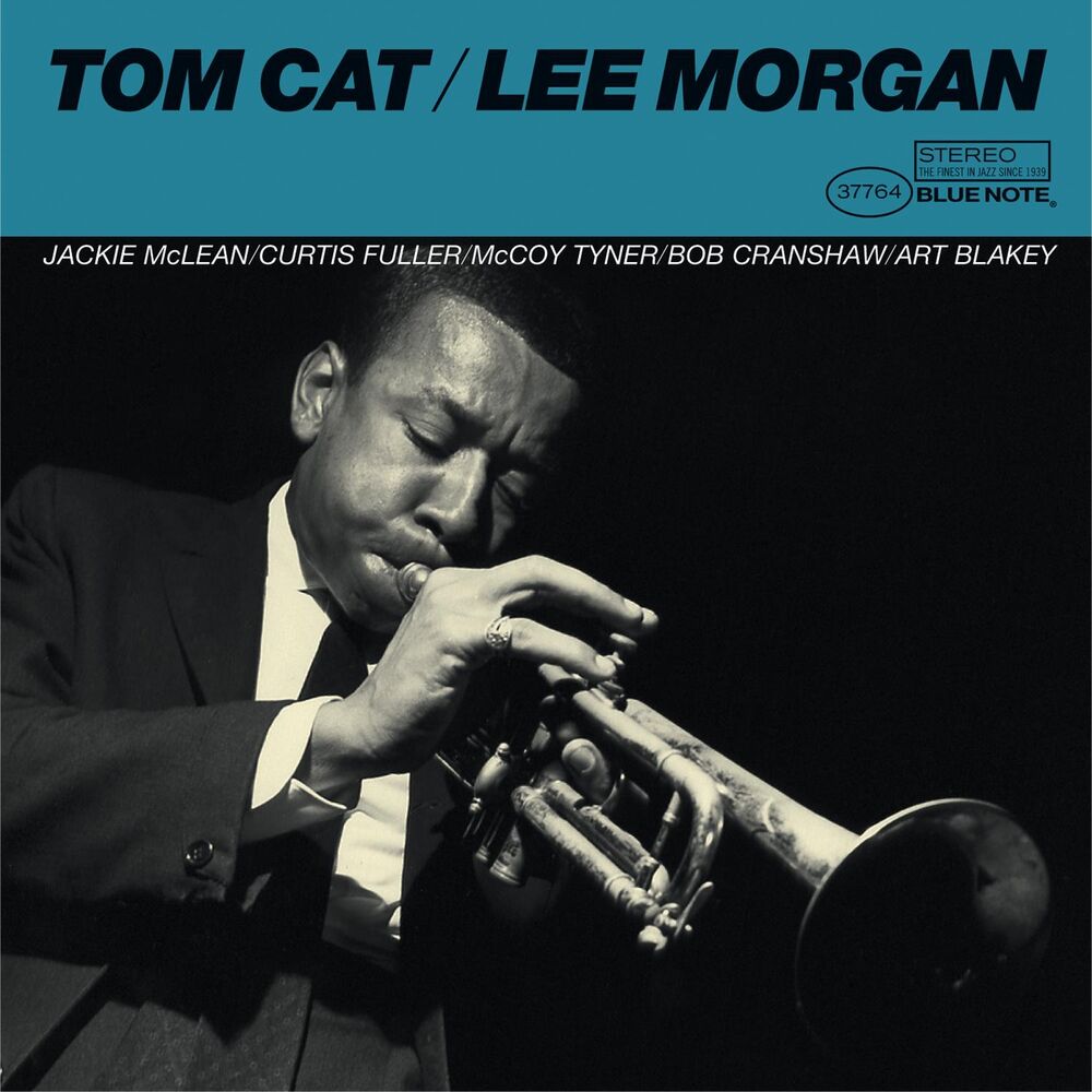 Picture of Tom Cat