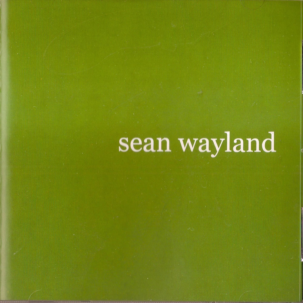 Album artwork for rising by Sean Wayland
