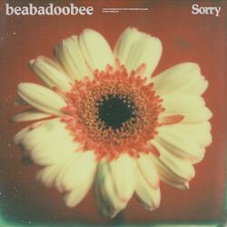 Cover of Sorry