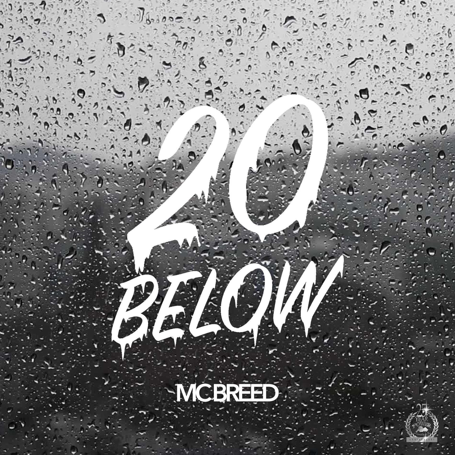 Album cover of 20 Below