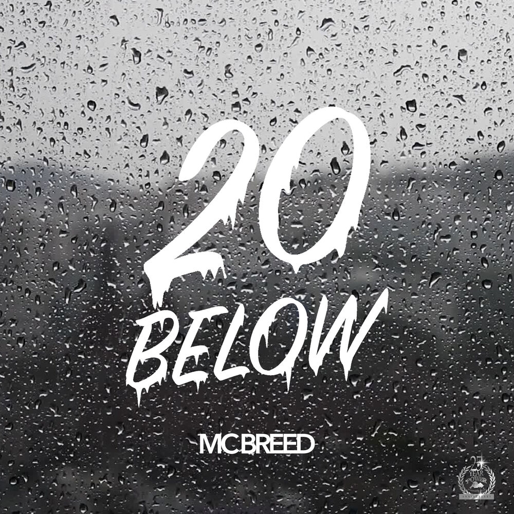 Picture of 20 Below