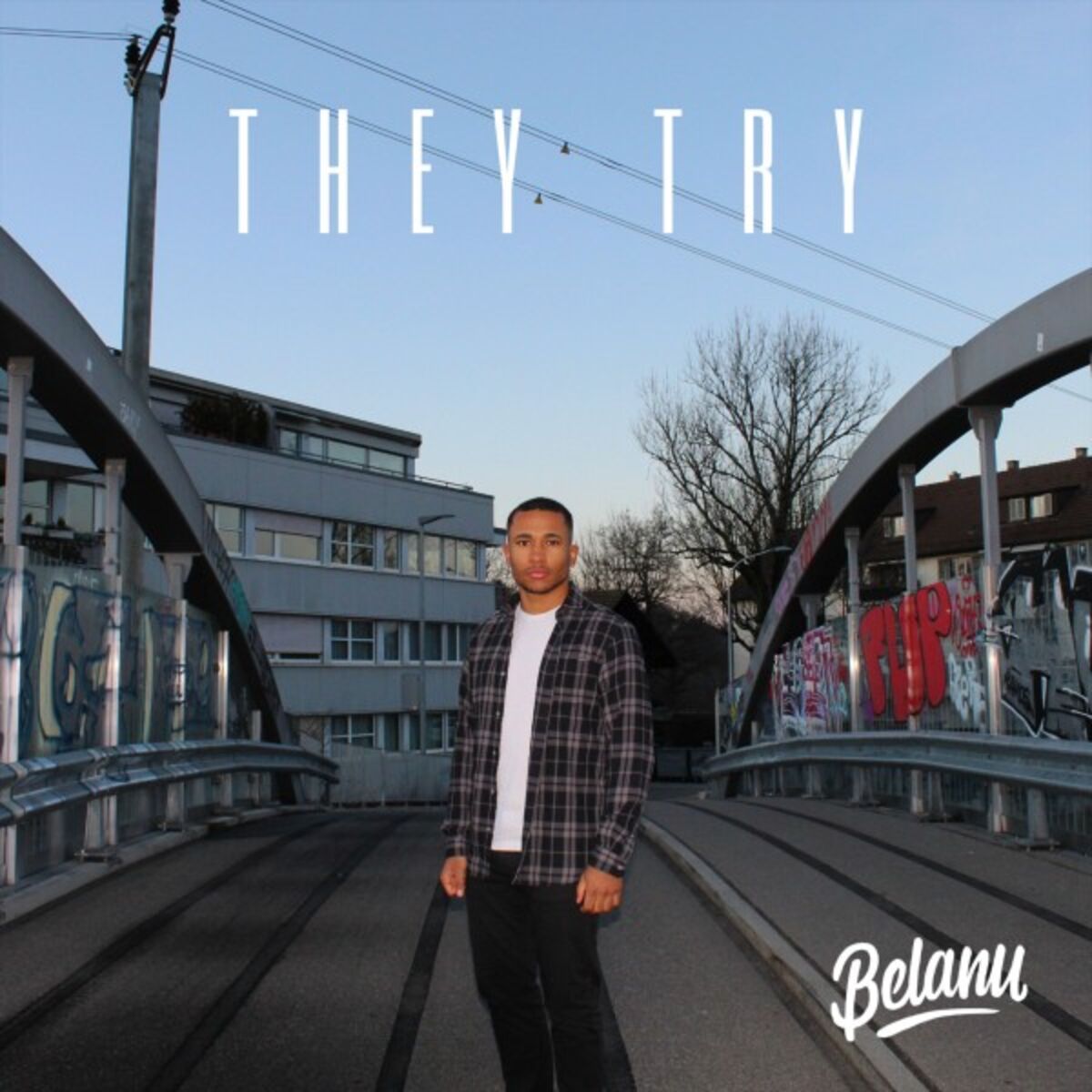 Album cover of They Try