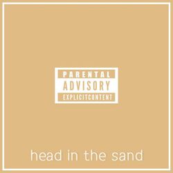 Cover of Head in the Sand