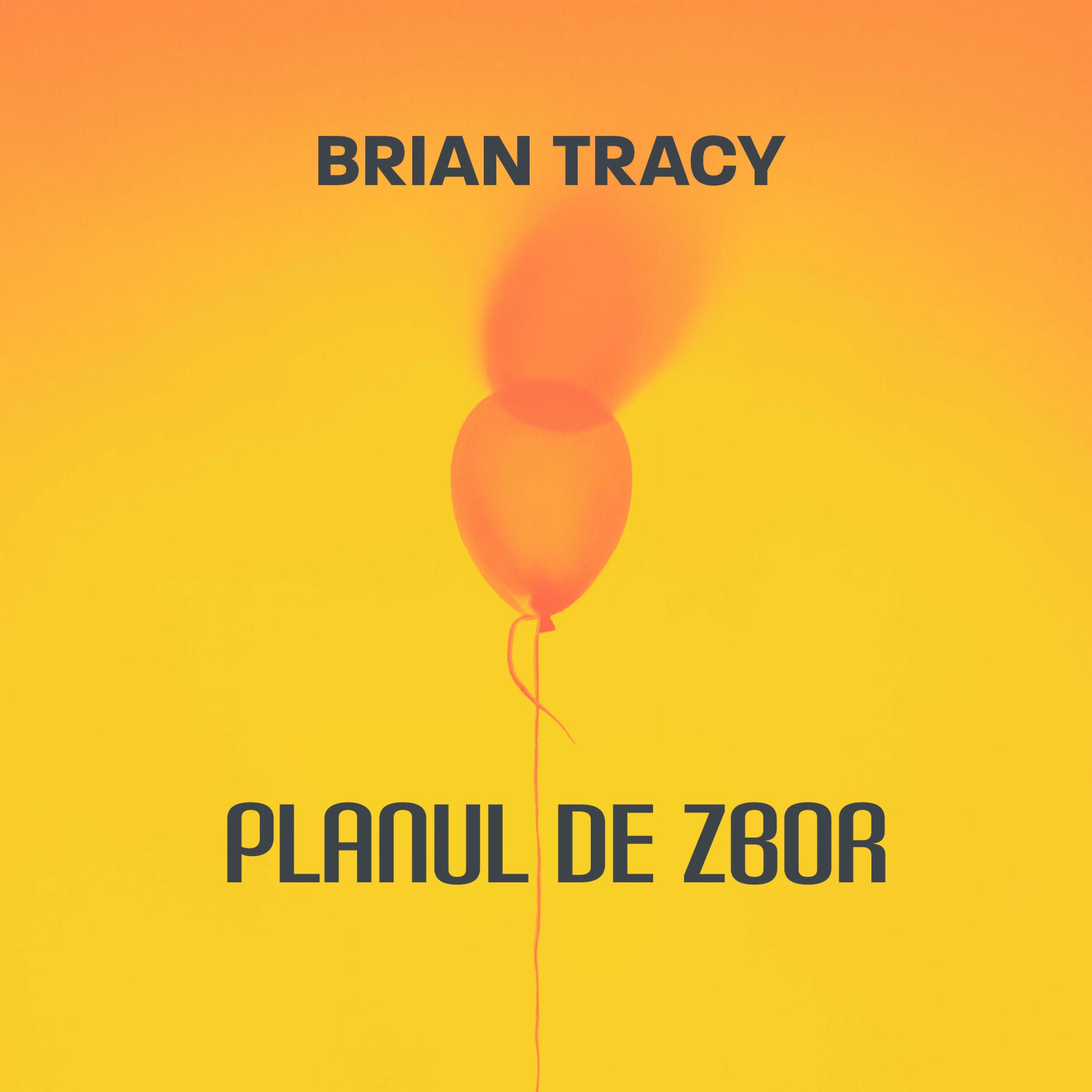 Album cover of Planul de zbor