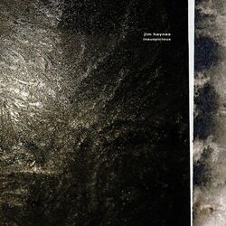 Cover of Inauspicious