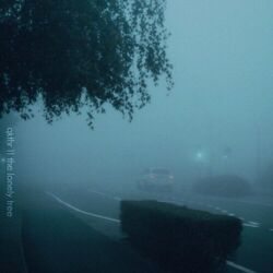 Cover of QKThr - the lonely tree