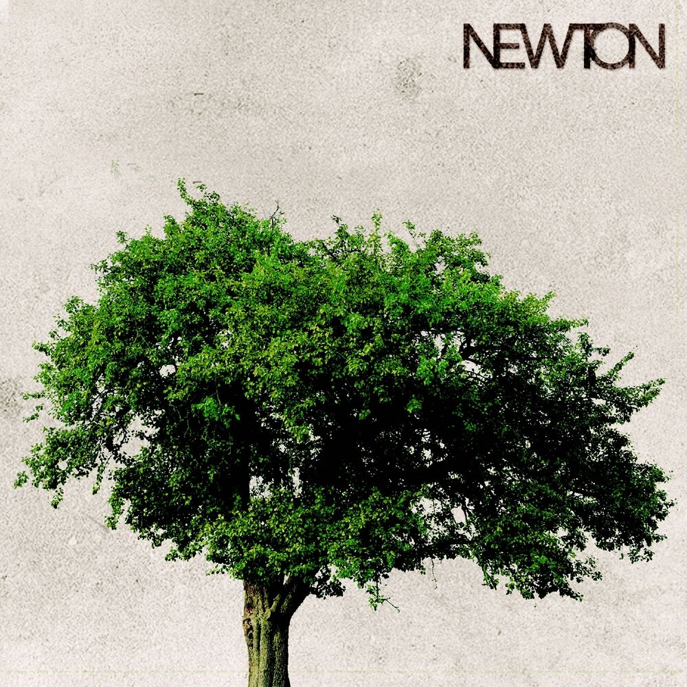 Picture of Newton