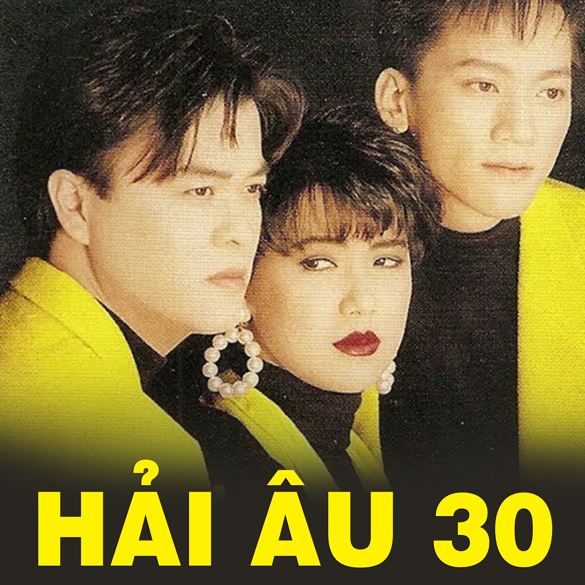 Album cover of Hải Âu 30