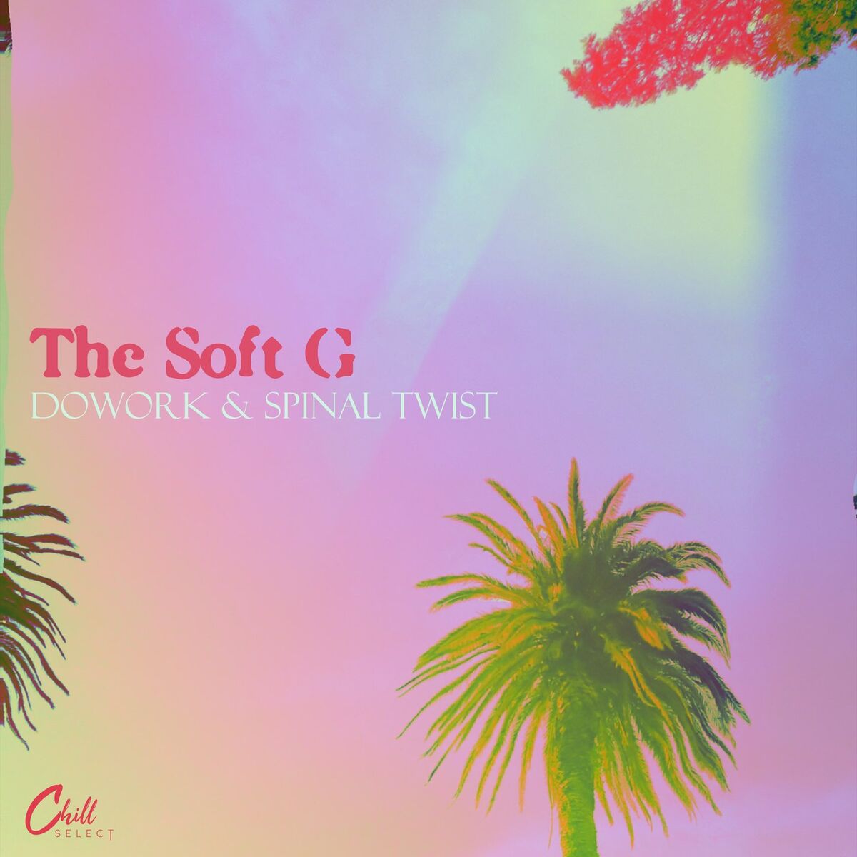 Album cover of The Soft G
