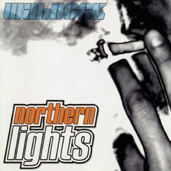 Cover of Northern Lights