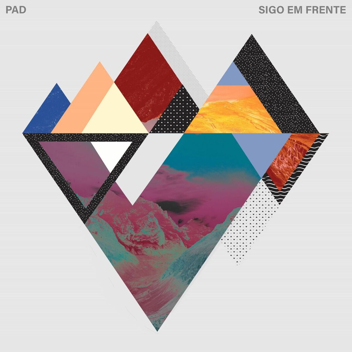 Album cover of Sigo em Frente