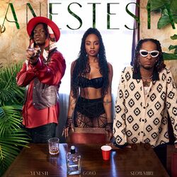 Cover of Anestesia