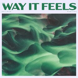 Cover of The Way It Feels