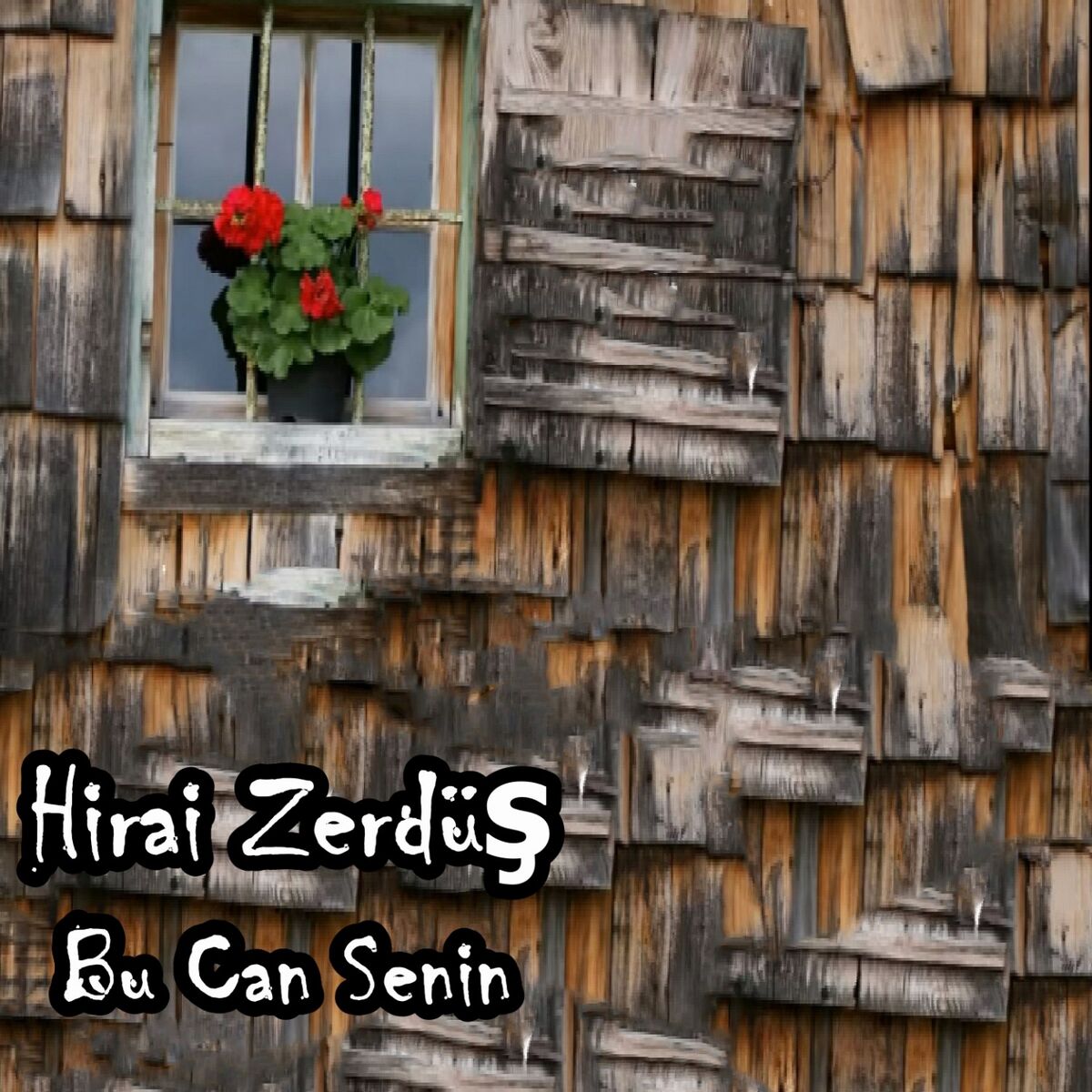 Album picture of Bu Can Senin