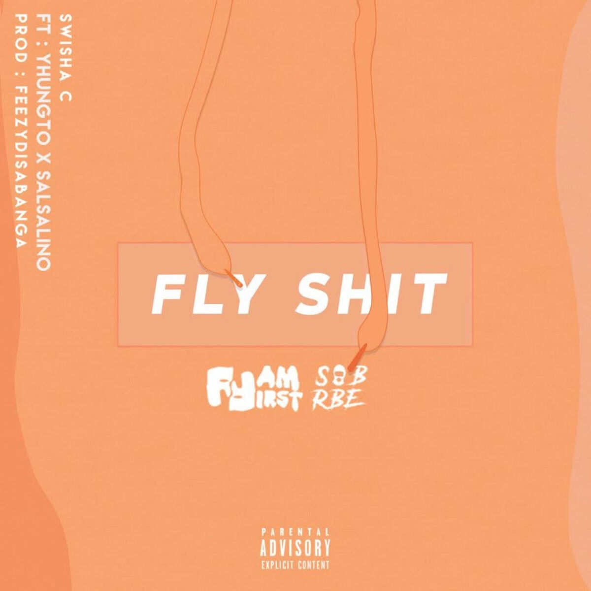 Album cover of Fly Shit