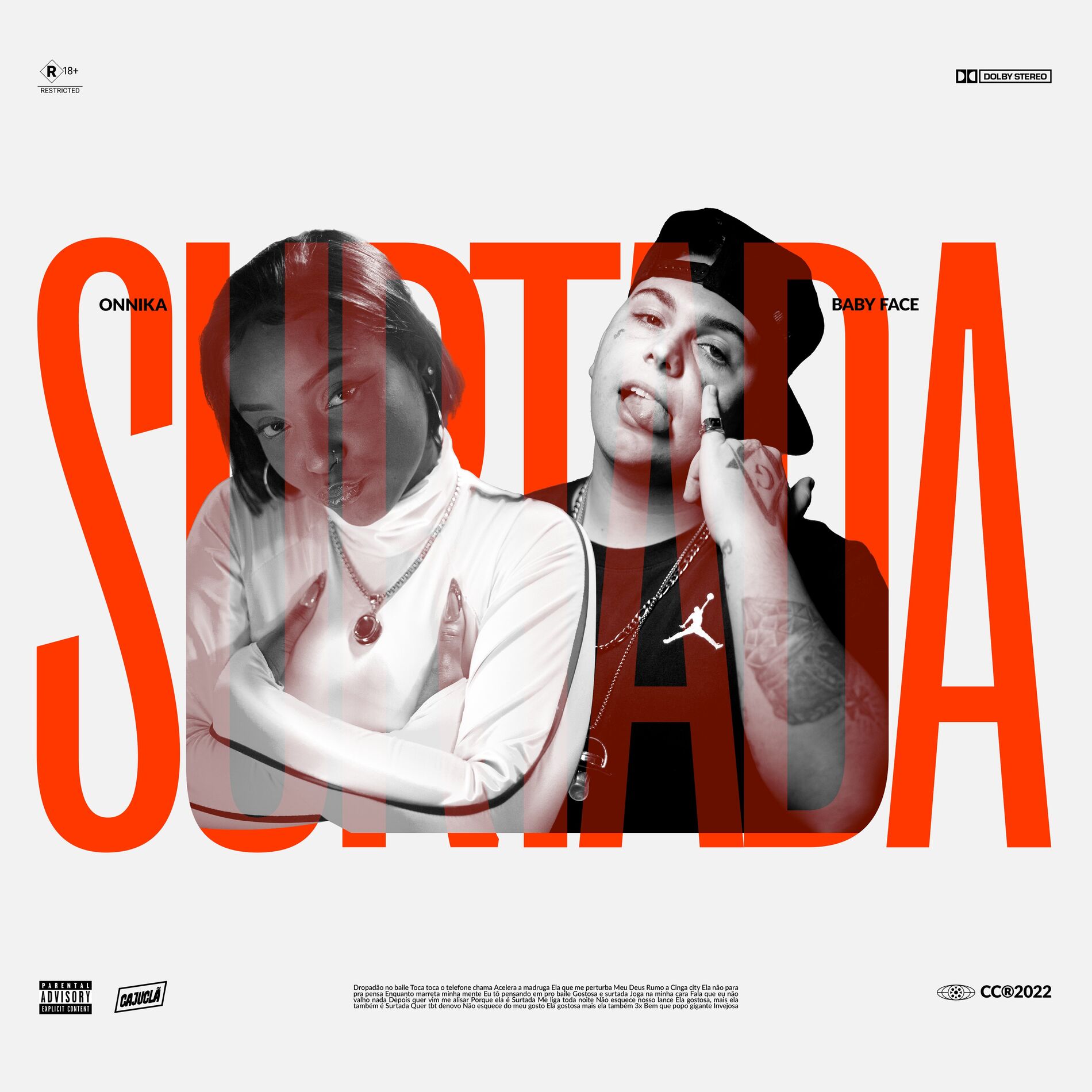 Album cover of Surtada