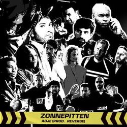 Cover of Zonnepitten