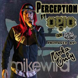 Cover of Perception