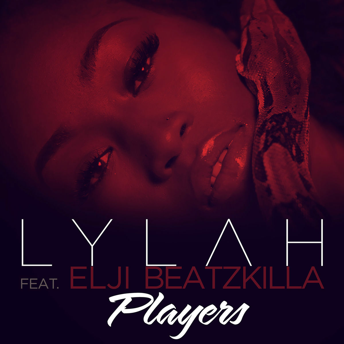 Album cover of Players