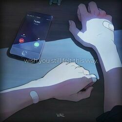 Cover of wish you still felt this way.