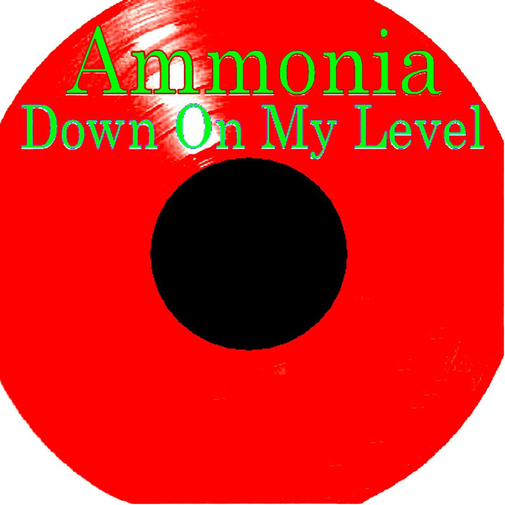 Picture of Down on My Level