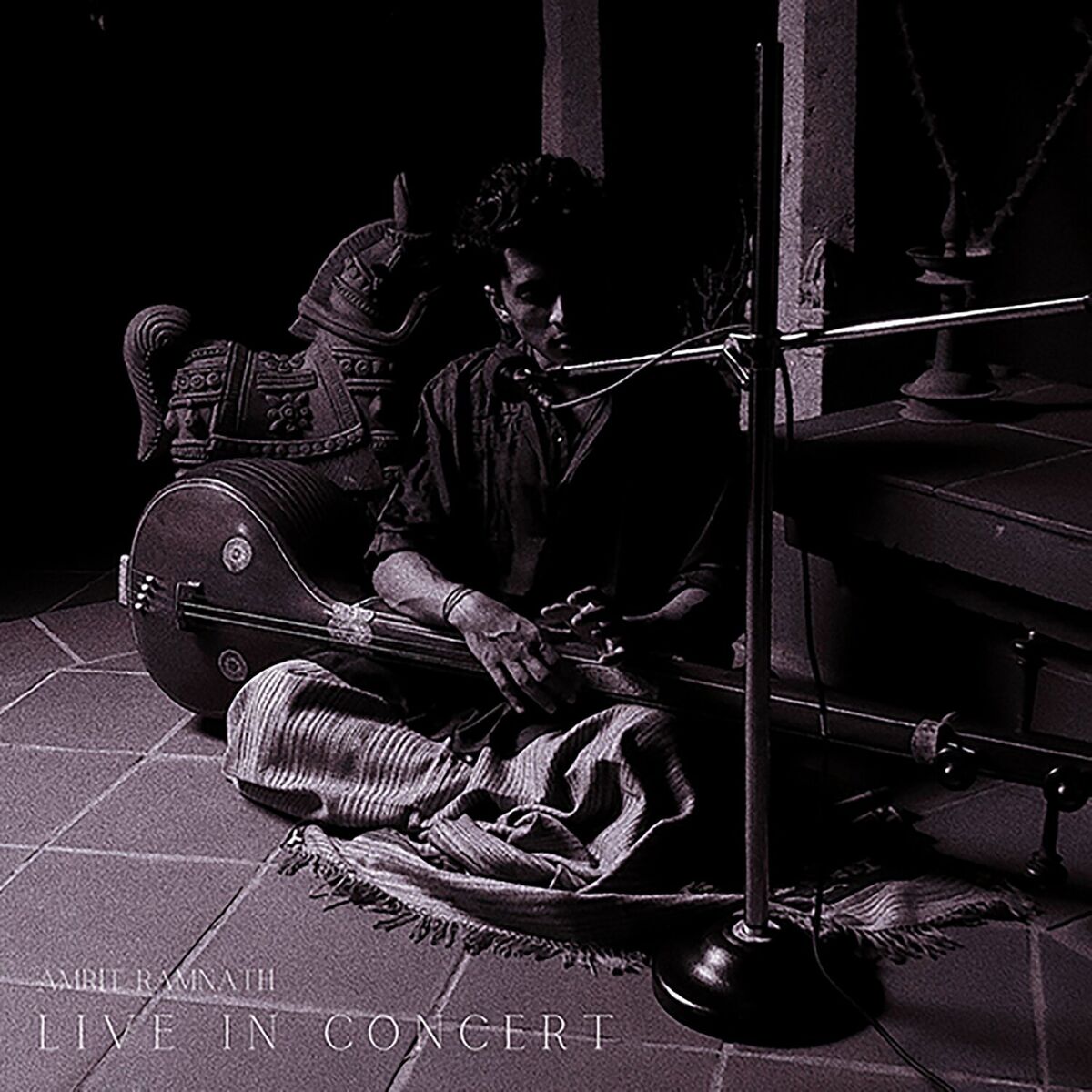Album cover of Amrit Ramnath in Concert