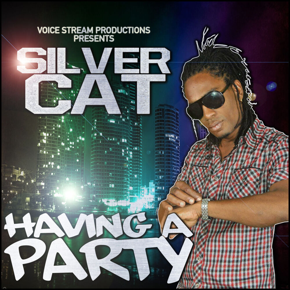 Picture of Having a Party - Single