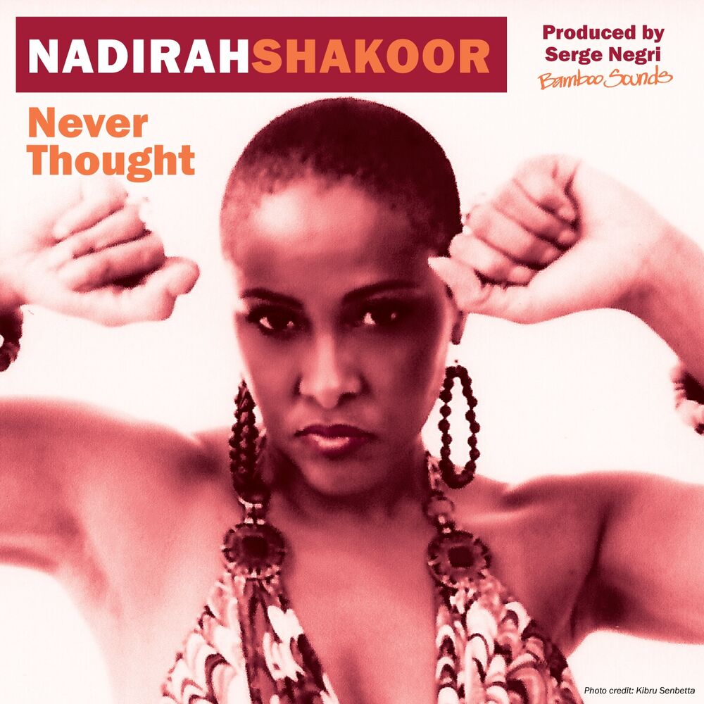 Picture of Never Thought (Remixes)