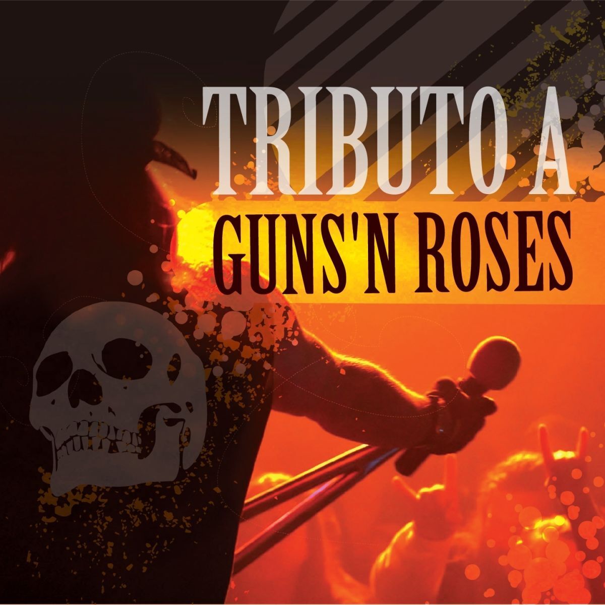 Album cover of Tributo a Guns'n Roses
