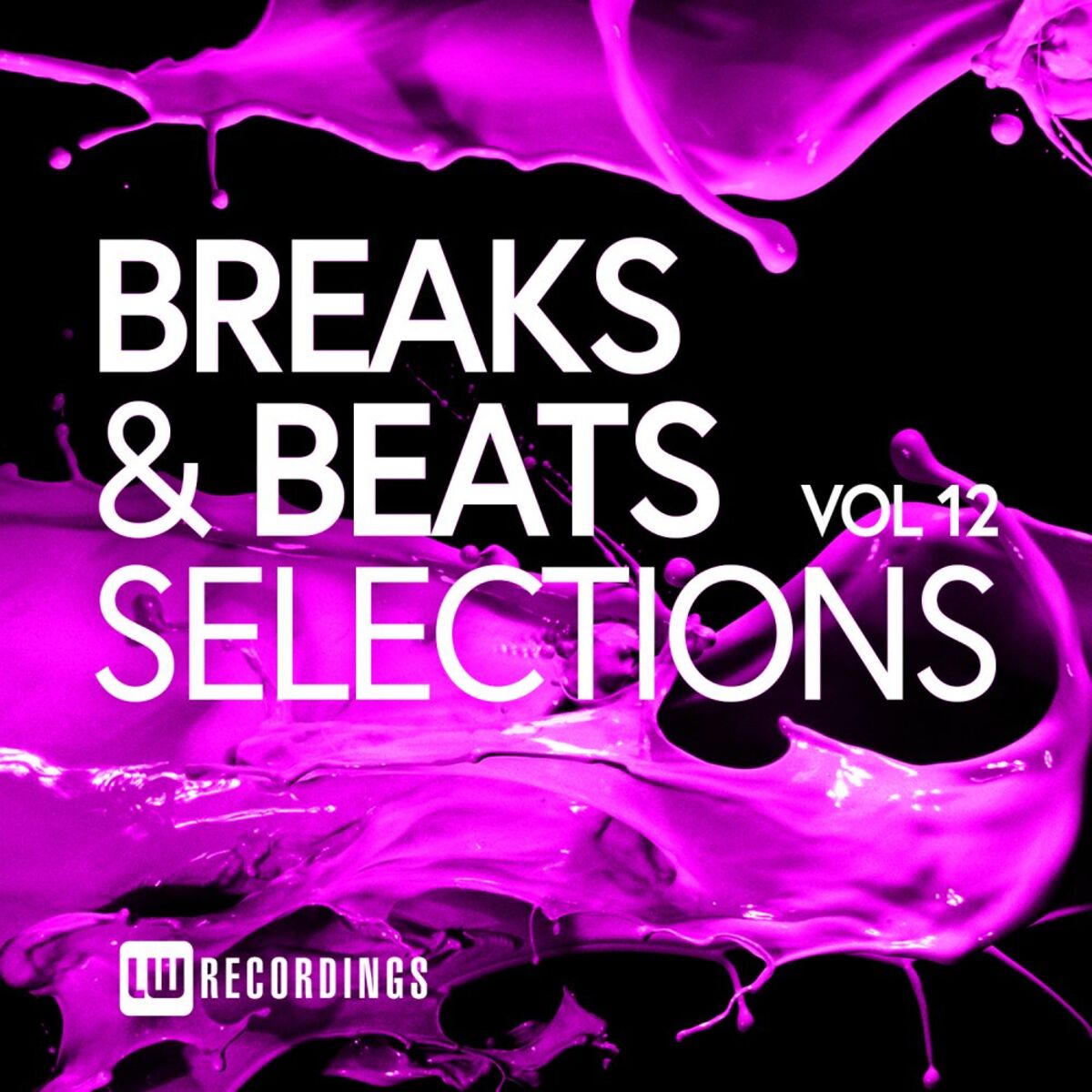 Album cover of Breaks & Beats Selections, Vol. 12